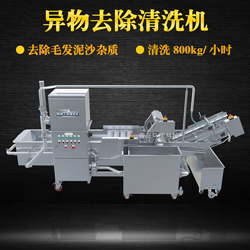 蔬菜清洗設(shè)備，氣泡清洗，清洗800kg小時(shí)