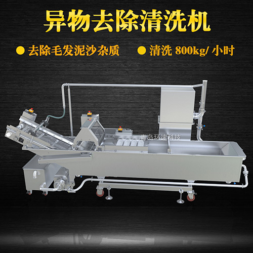 商用專業(yè)果蔬清洗機，氣泡清洗，清洗800kg小時