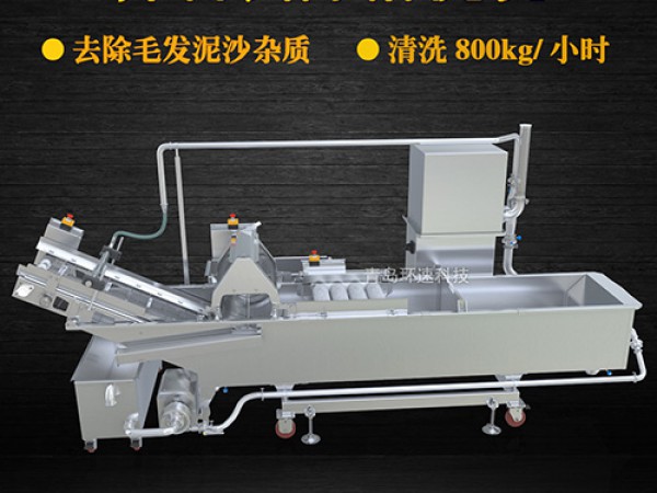 蔬菜清洗機(jī)，氣泡清洗，清洗800kg/小時(shí)
